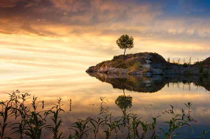 Finalista: “Atardecer en Montepinar” de Francisco Javier Meseguer Hernández.