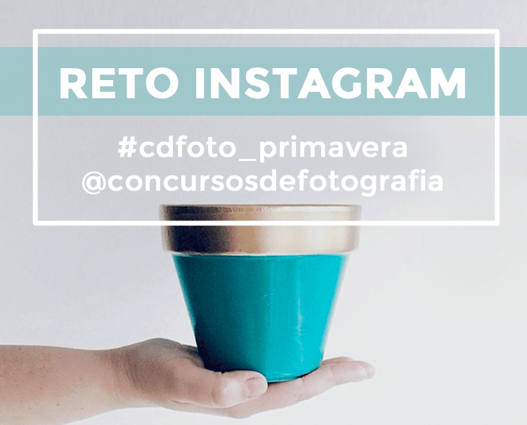 Primer Reto Instagram Primavera