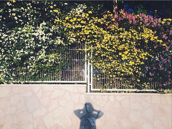 Reto Instagram Primavera 1