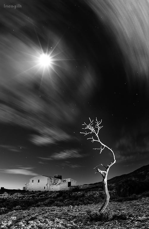 Fotografía Nocturna. Inés Gil