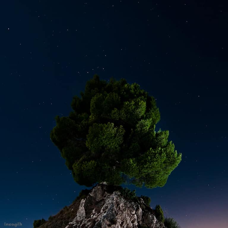 Fotografía Nocturna. Inés Gil