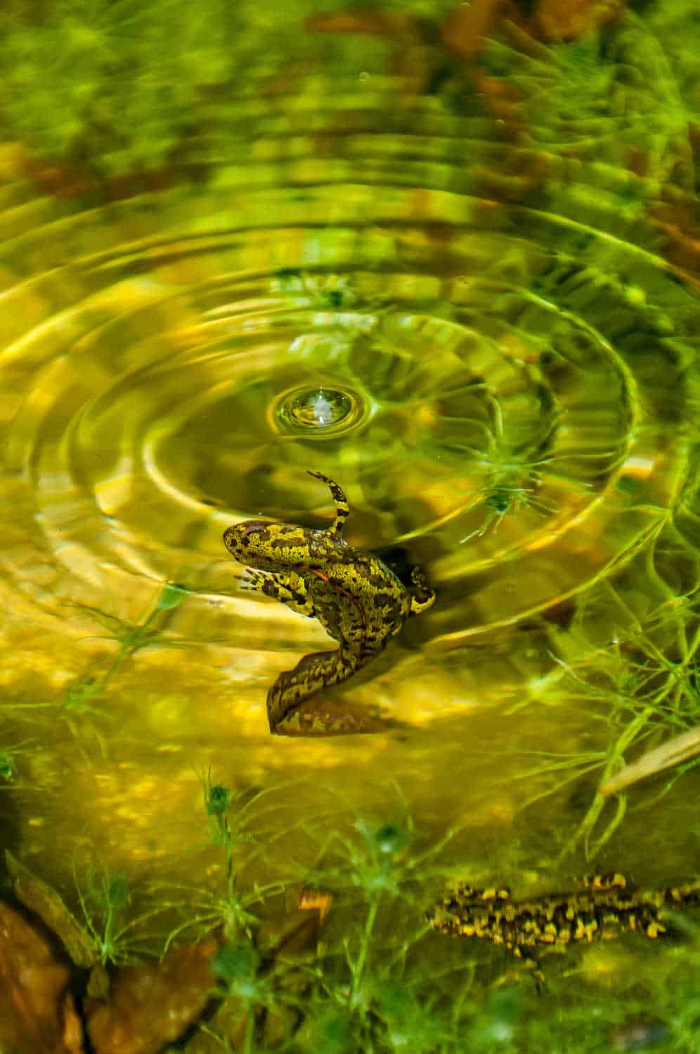 Fotografías ganadoras concurso "El agua en su entorno natural"