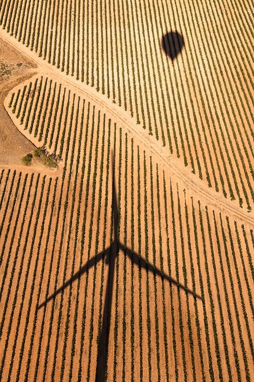 Premiados en la "II edición del Certamen Nacional de Fotografía Bodegas y Viñedos Verum, Vino y Vendimia"