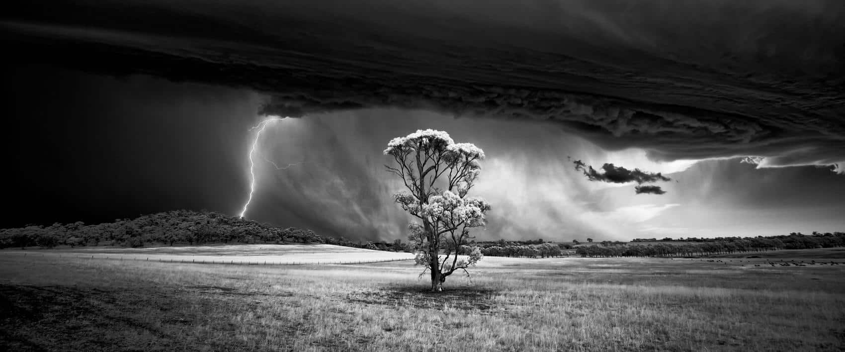 International Landscape Photographer of the Year 2015