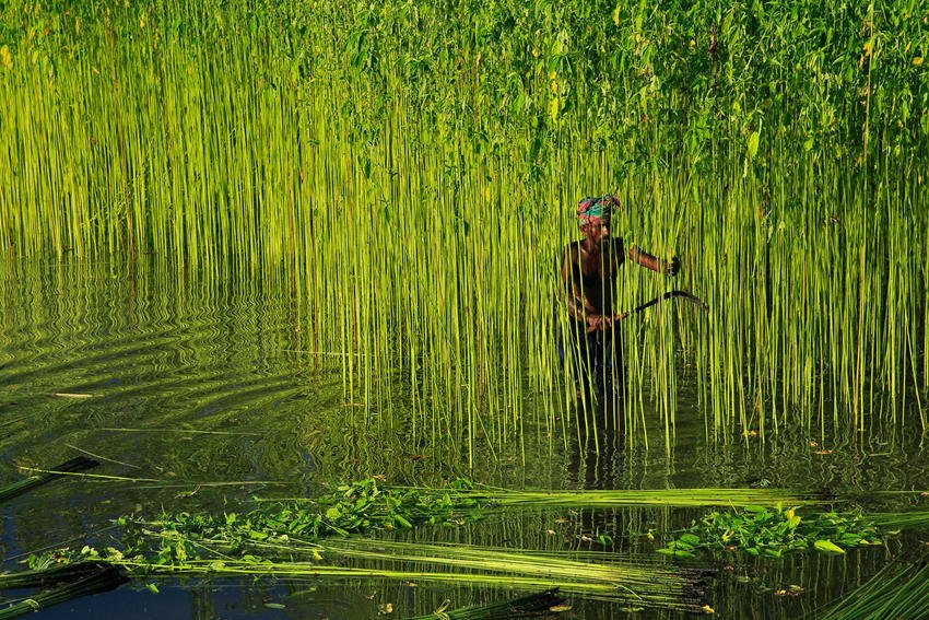 Concurso Internacional de Fotografía Agricultura y Agua