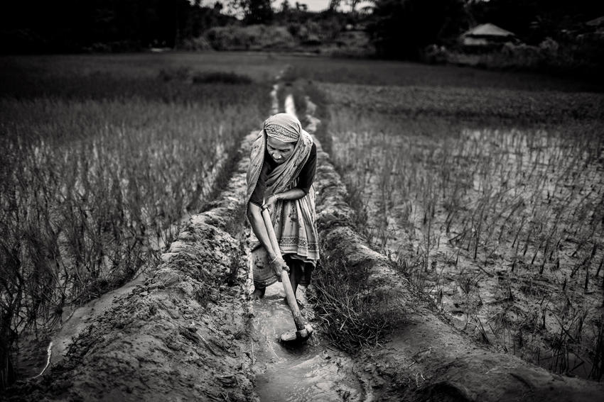 Concurso Internacional de Fotografía Agricultura y Agua