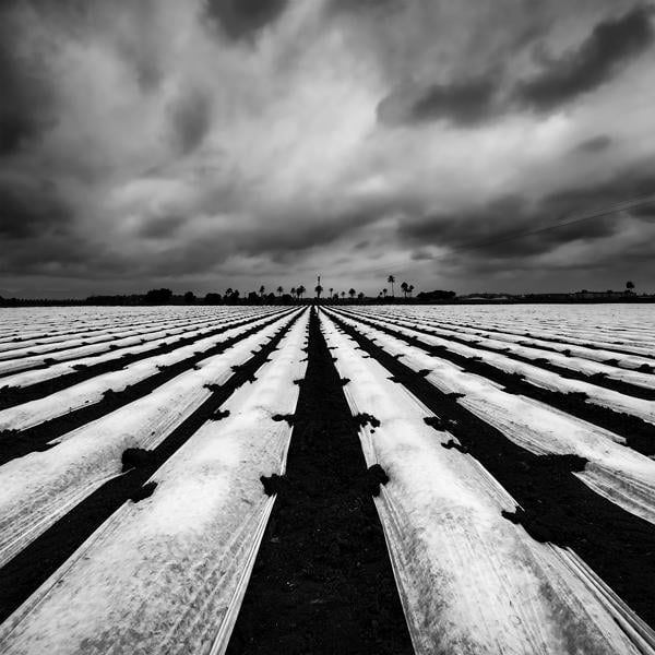 Concurso Internacional de Fotografía Agricultura y Agua