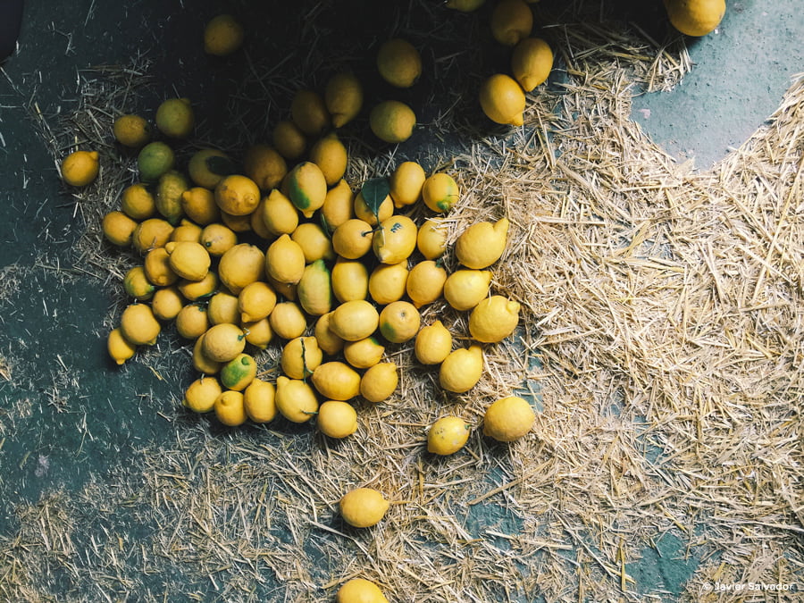 Consejos para ganar el concurso “Amarillo”