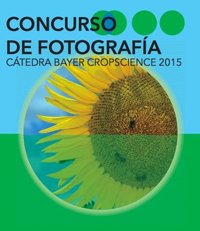 Mejores concursos de fotografía del 2016