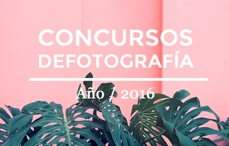 Mejores concursos de fotografía 2016