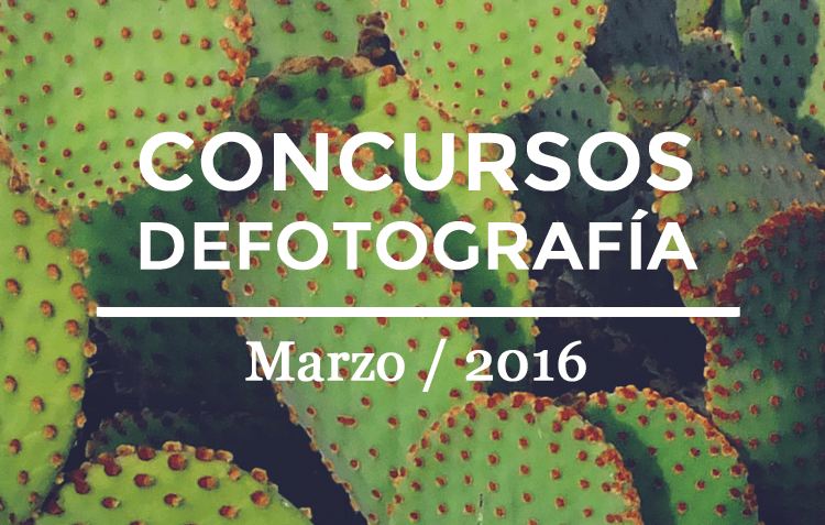 concursos destacados Marzo 2016