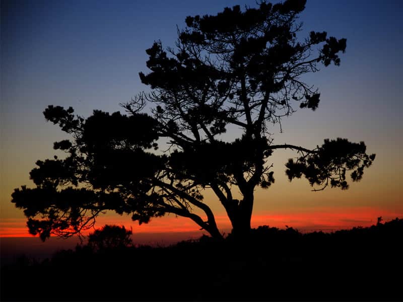 IX Concurso de Fotografía ambiental