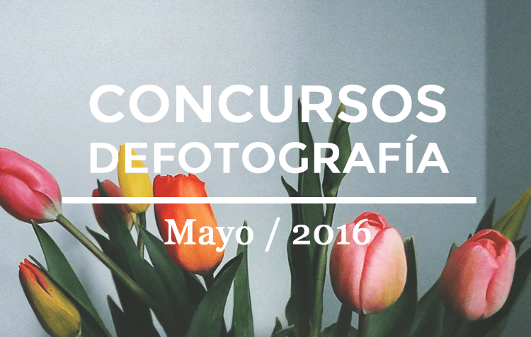 Los mejores concursos de fotografía de Mayo 2016