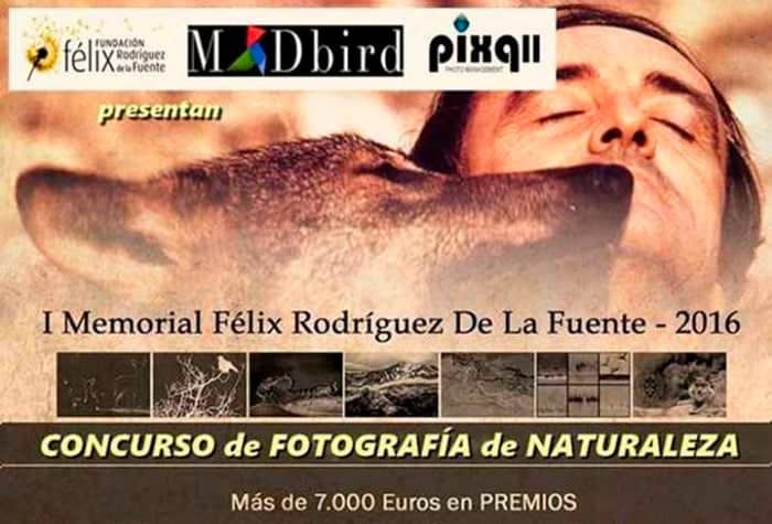 concursos de fotografía de mayo