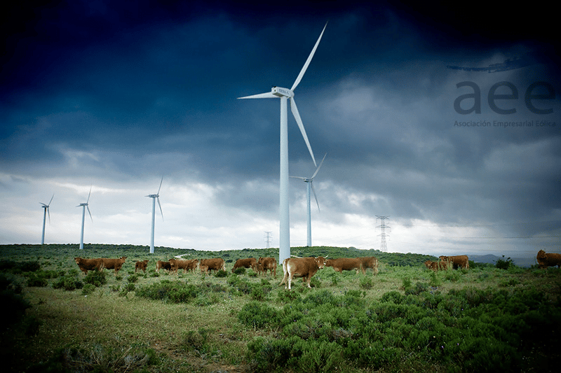 Eolo 2016: Juan Miguel Cervera - Energías