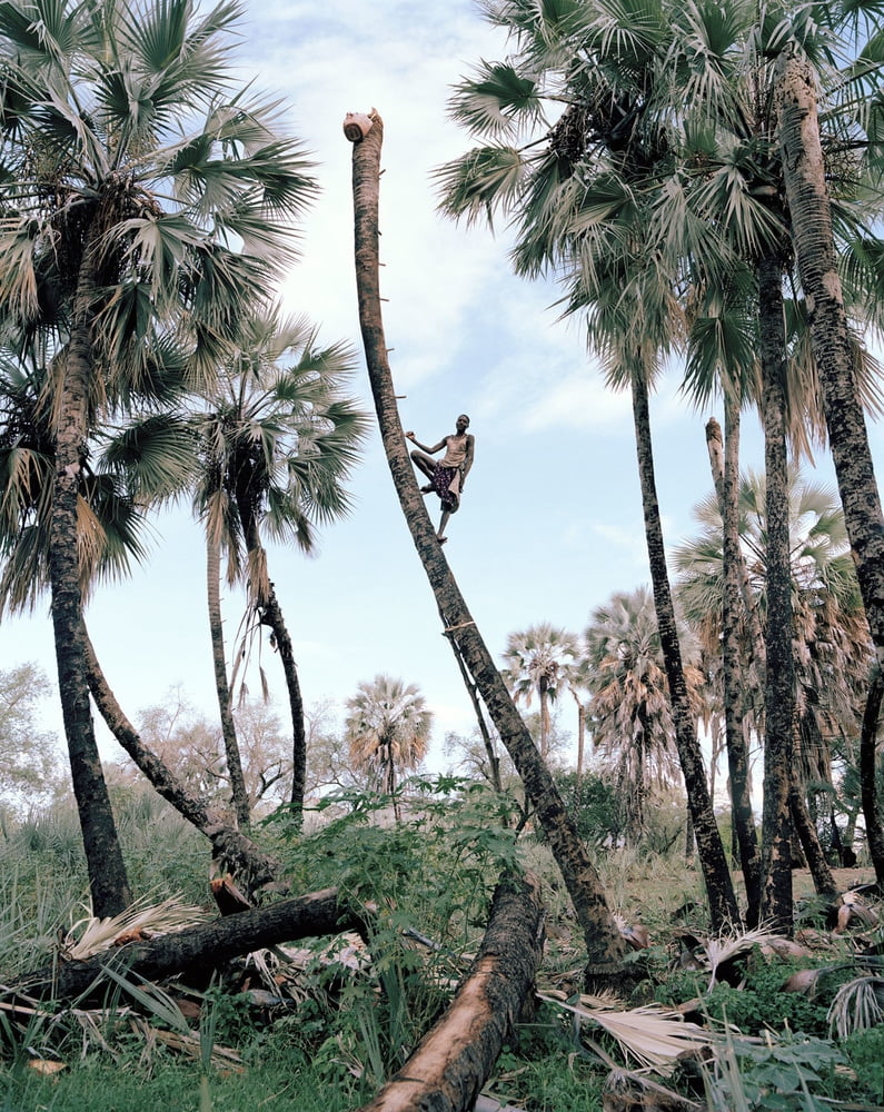 Magnum Photography Awards 2016