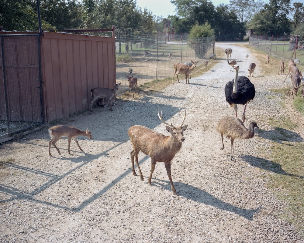 Magnum Photography Awards 2016