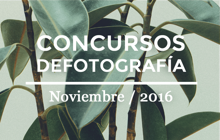 Los mejores concursos de fotografía de Noviembre 2016