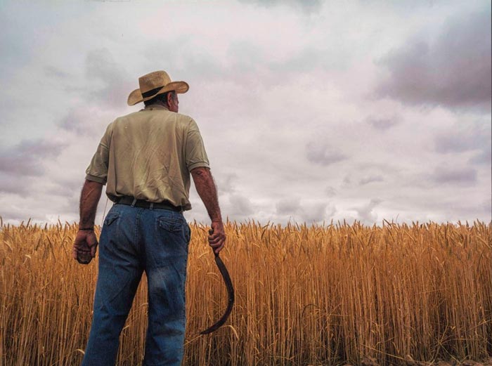 29º Premio Nacional "Salamanca" de Fotografía Agrícola y Ganadera