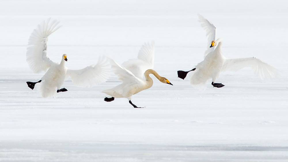 25º Concurso de Fotografía de la Naturaleza Euronatur - 2018