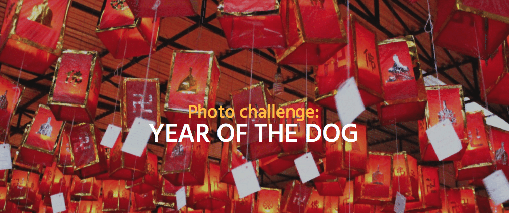 Concurso Fotográfico Year Of The Dog