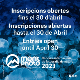 Concurso Internacional de Fotografía de naturaleza MontPhoto 2023