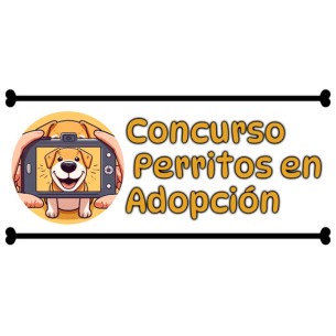 Concurso Perritos en Adopción